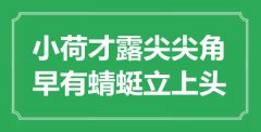 “小荷才露尖尖角，早有蜻蜓立上頭”是什么意思_出處是哪里